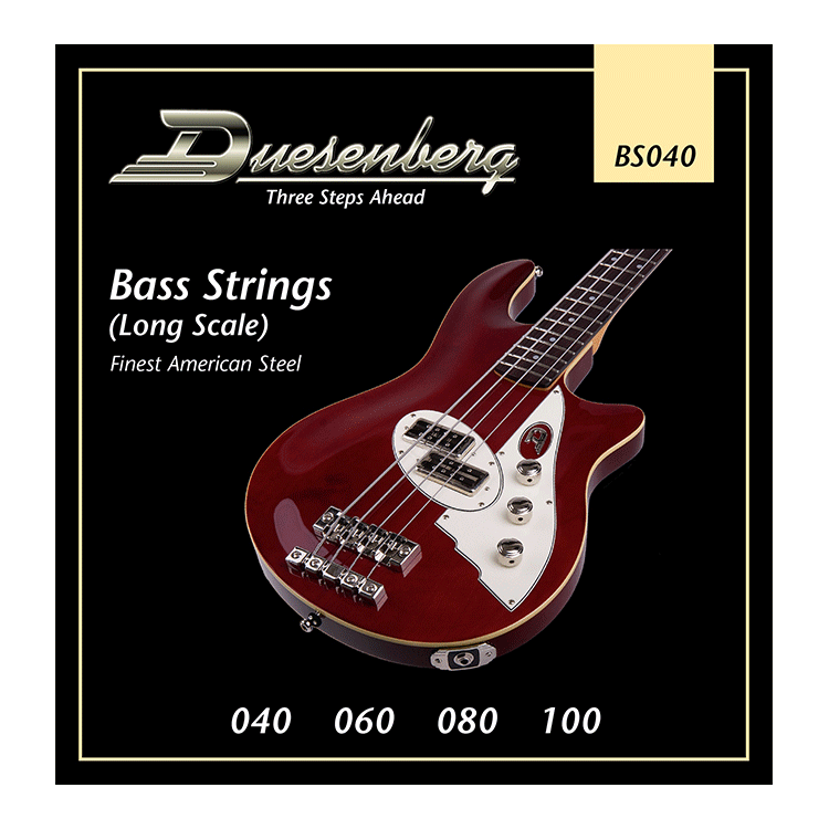 Duesenberg Stainless Steel 040-100 Bass (Longscale)